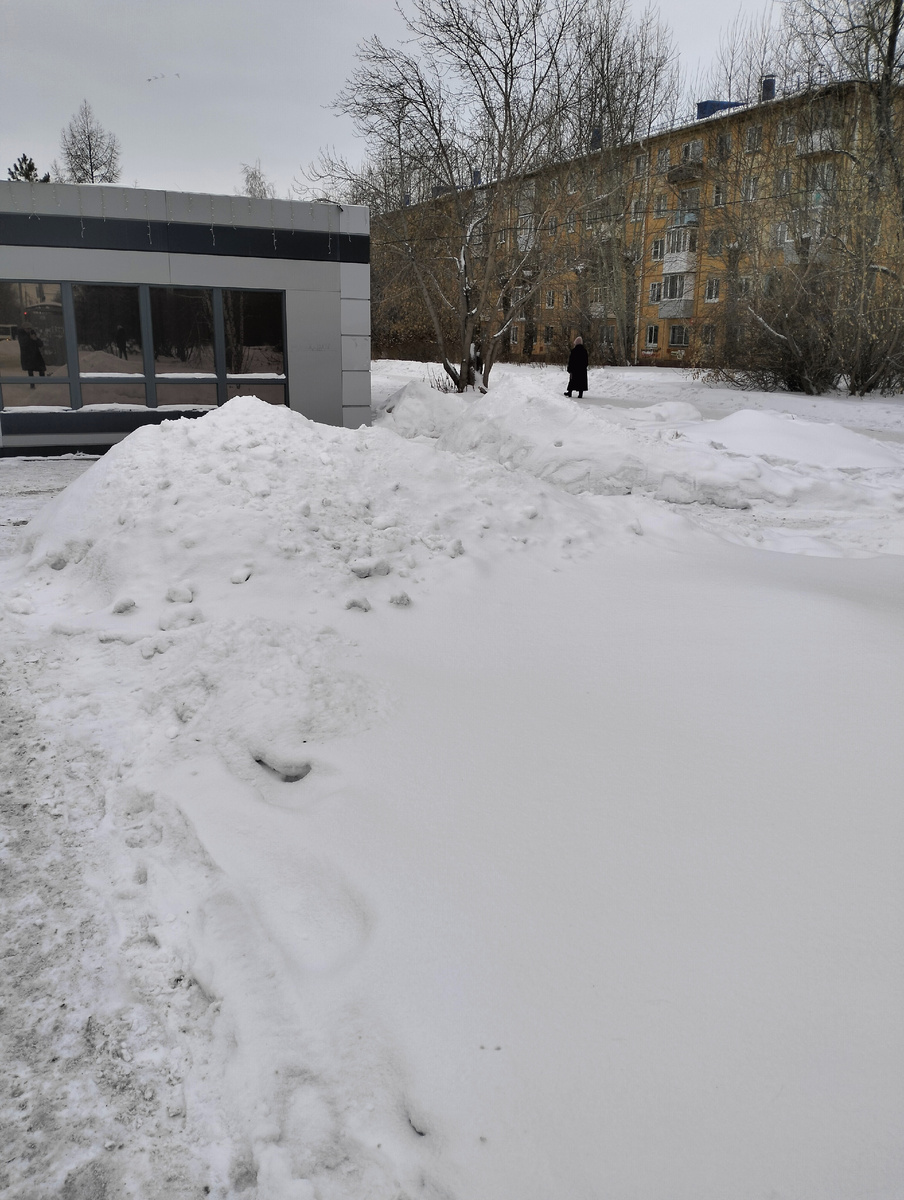 Вот столько снега.