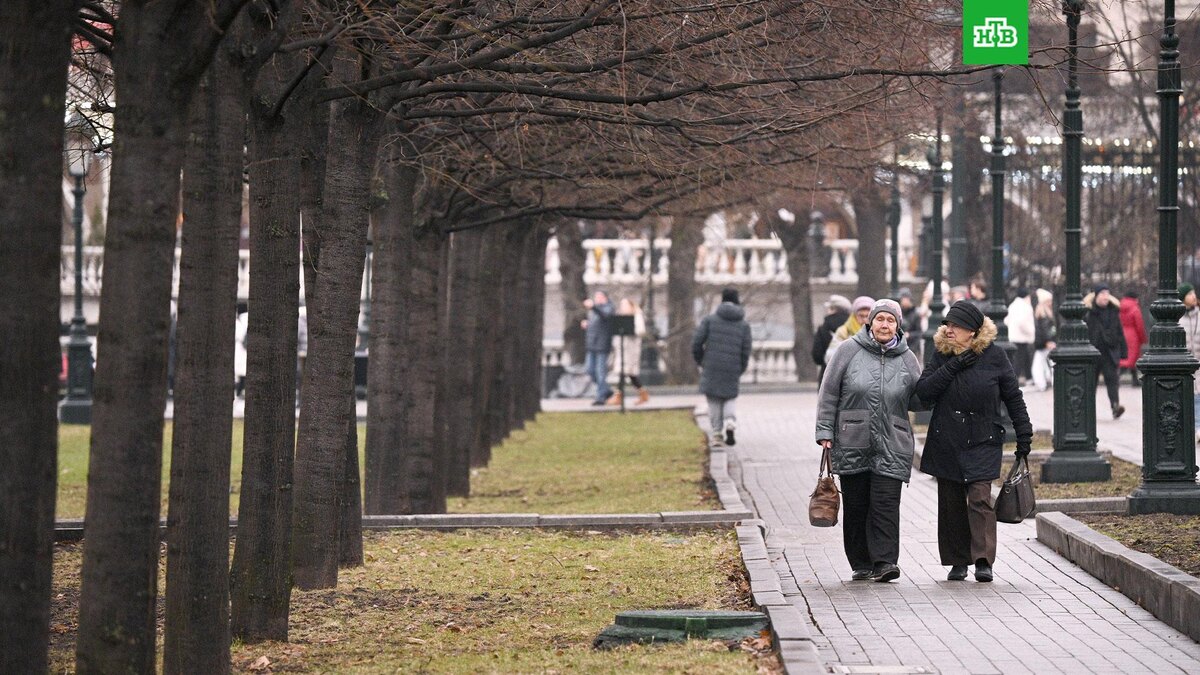    Фото: РИА Новости © 2025, Алексей Филиппов