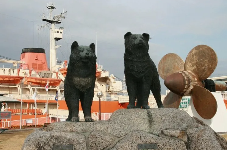 Памятник тем самым Таро и Дзиро, в жизни они были мохнатее