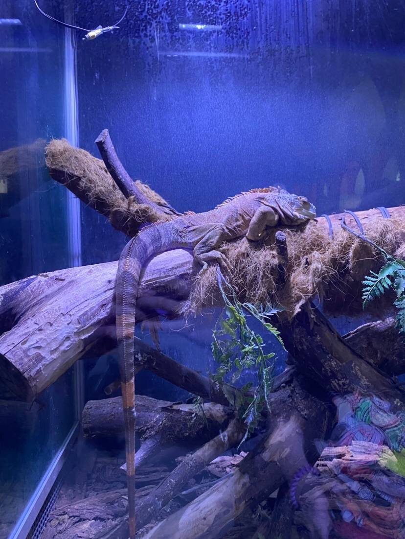 Фото из личного архива 