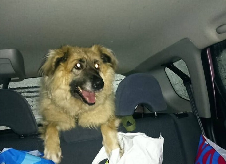 В машине, едет в город