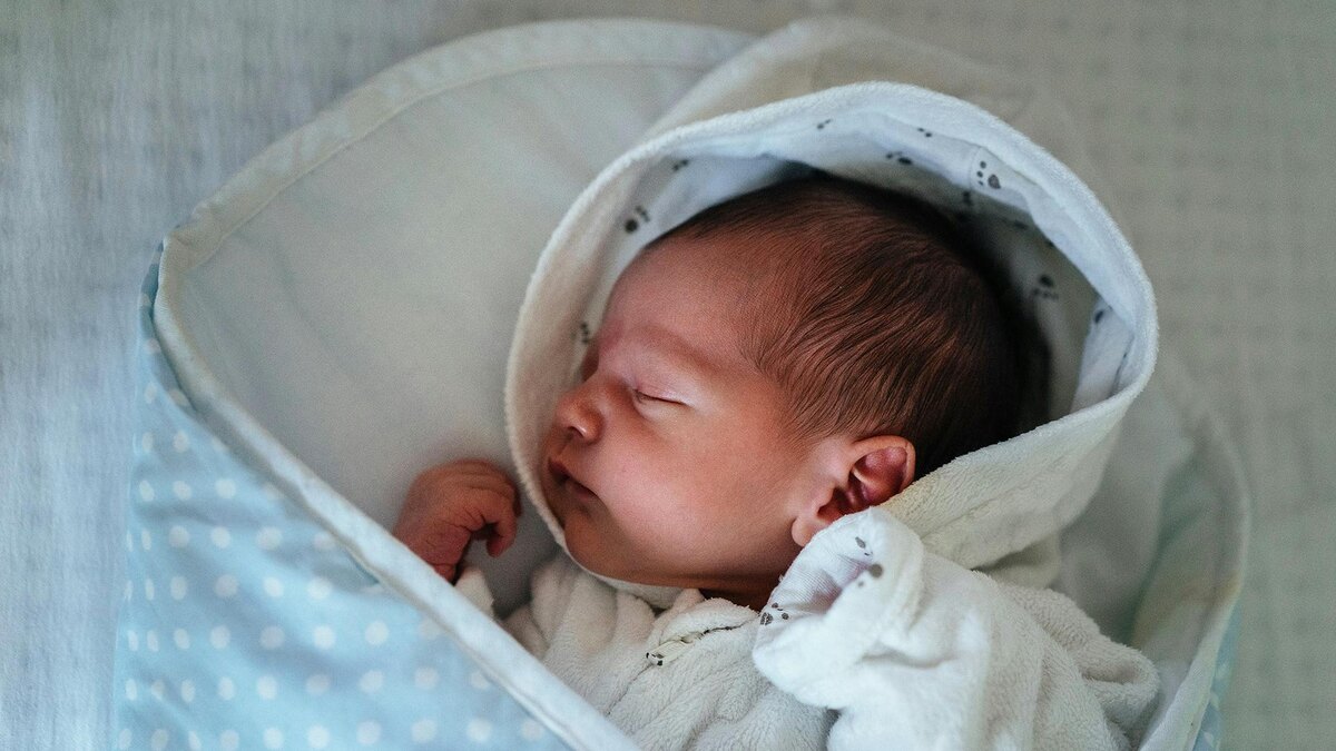    Фото: unsplash.com