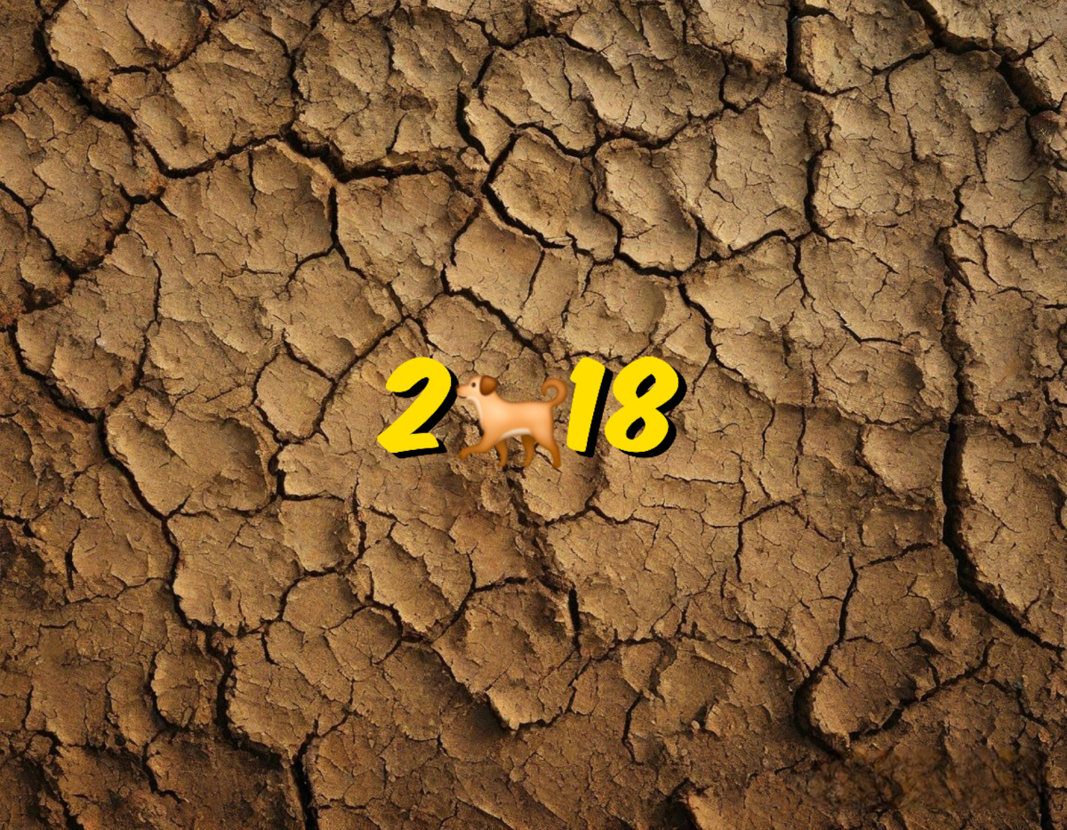 2018 год в восточном календаре и китайском гороскопе: Земляная Собака