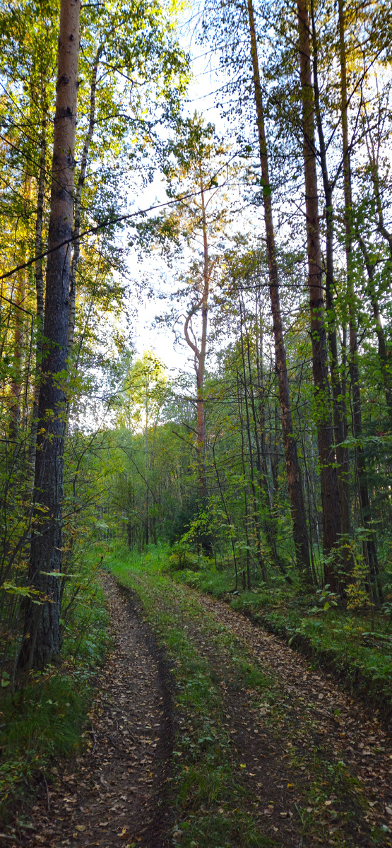 Казалось, что дорога в никуда....