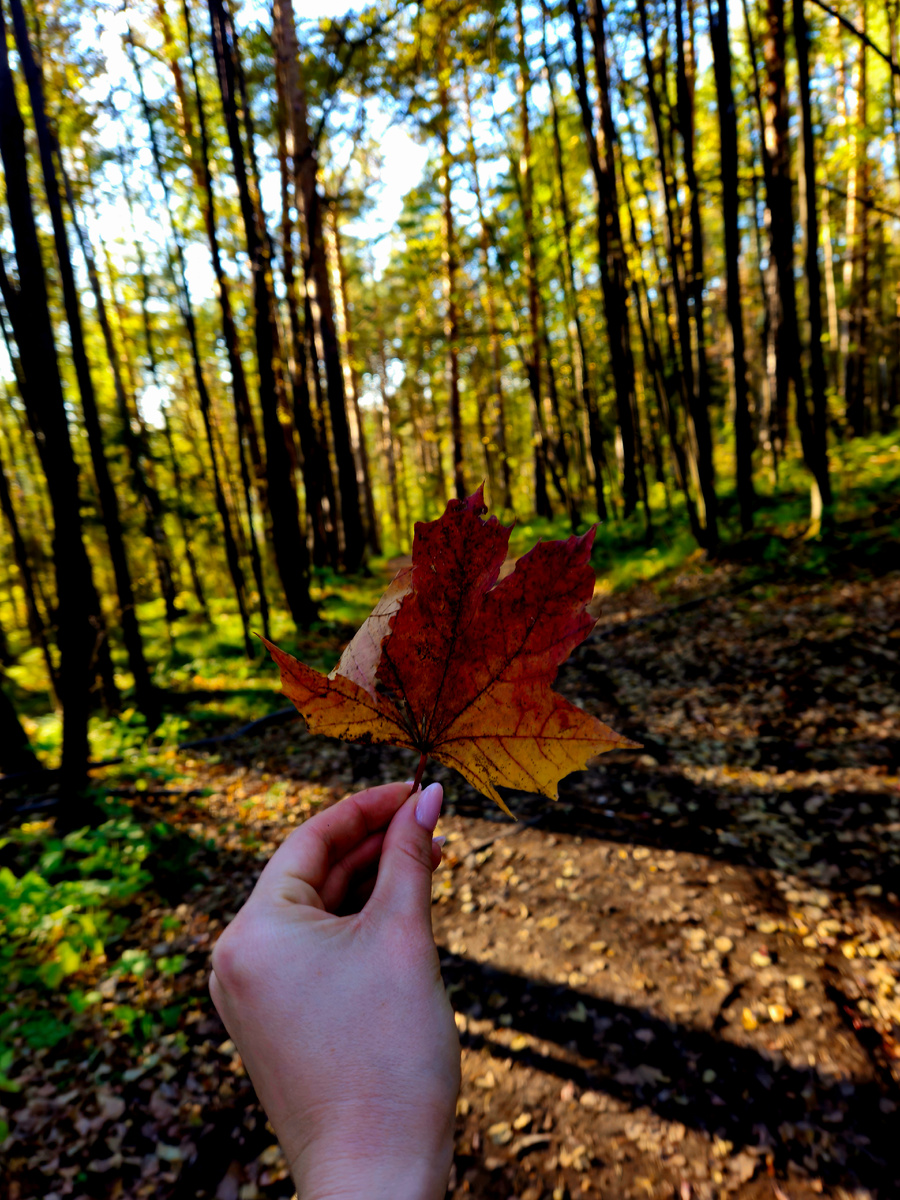 Такой теплый сентябрь...уже не первый год..