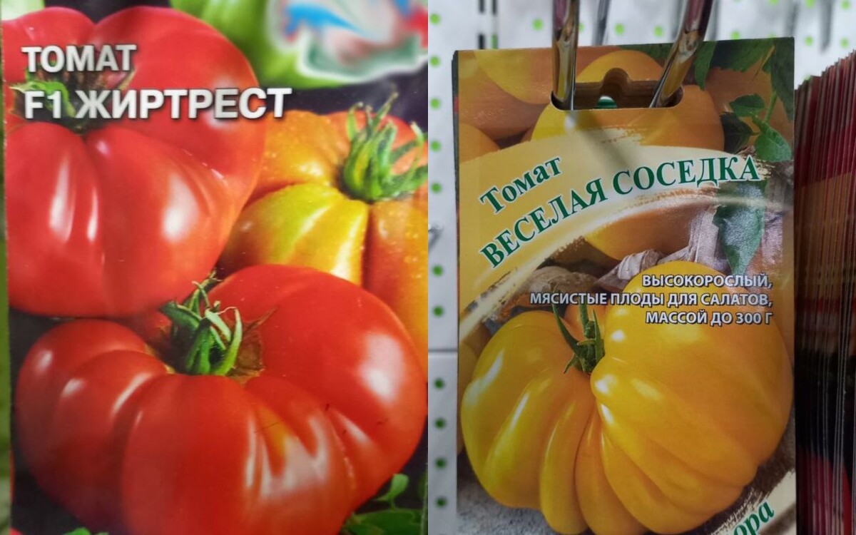    Серьёзное, внушительное «Жиртрест» и эффектное «Весёлая соседка». Фото: читатель "МОЁ!"