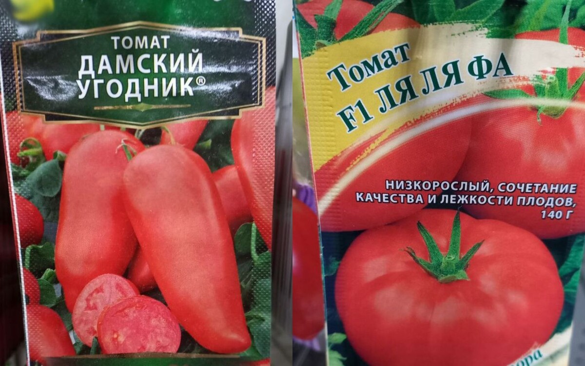    Томат-романтик «Дамский угодник». Фото: читатель "МОЁ!"