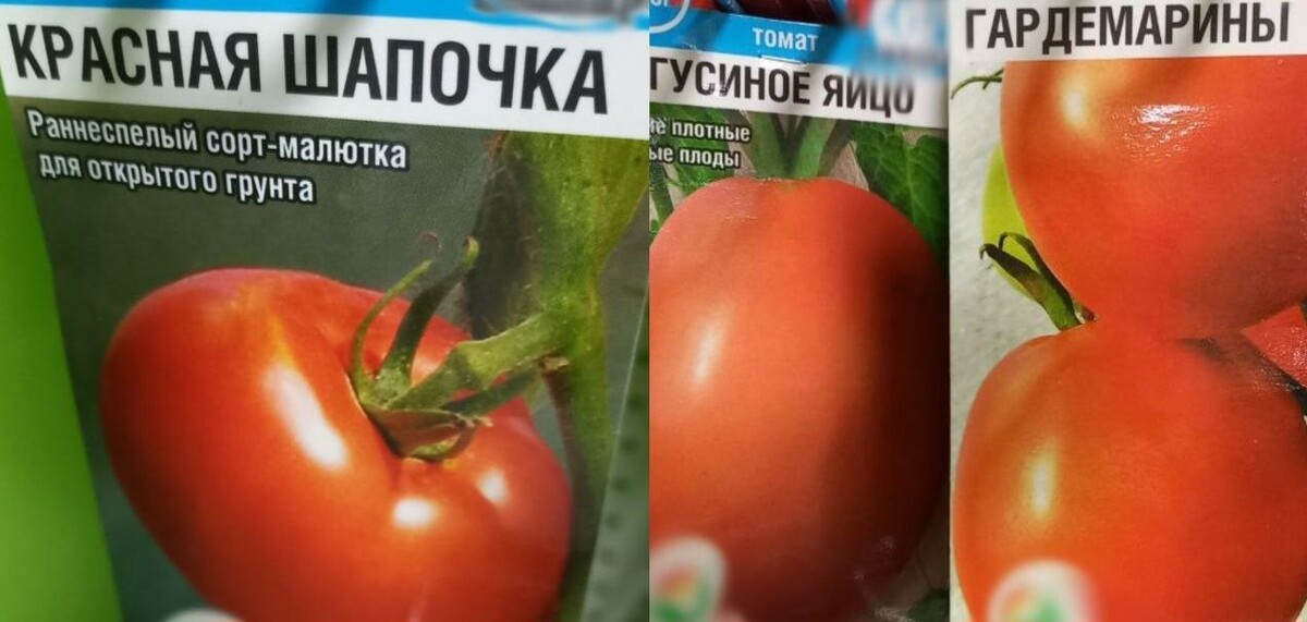    «Красная шапочка» — идеальное название для сорта-малютки. Фото: читатель "МОЁ!"