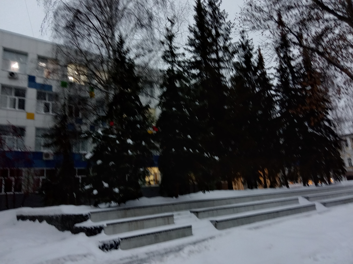 Снег и елки