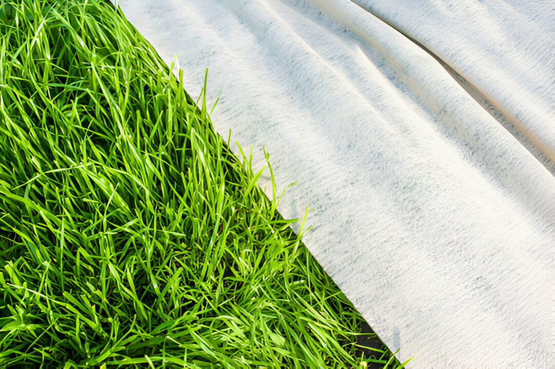 Источник: https://stock.adobe.com/ru/