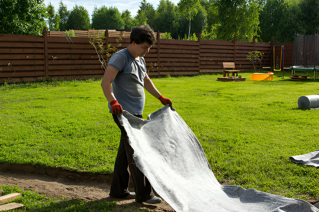 Источник: https://stock.adobe.com/ru/