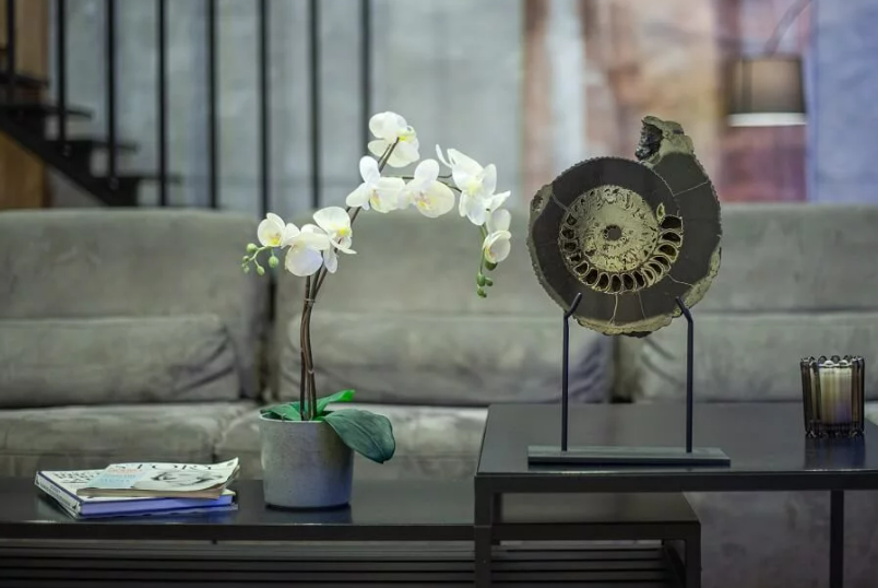 3 крутых идеи для подарка: эти подарки удивят вас и ваших друзей