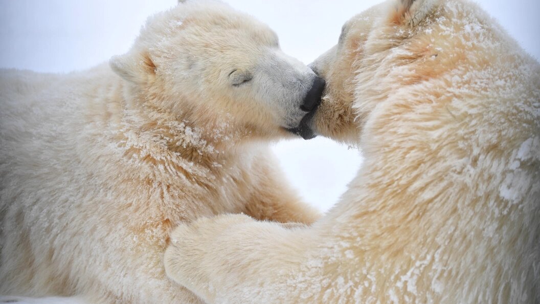    Фото: Komsomolskaya Pravda/Global Look Press