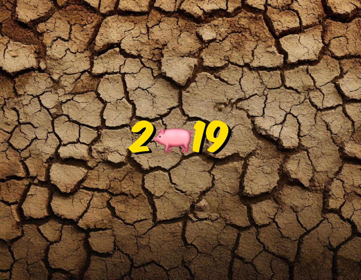 2019 год в восточном календаре и китайском гороскопе: Земляная Свинья