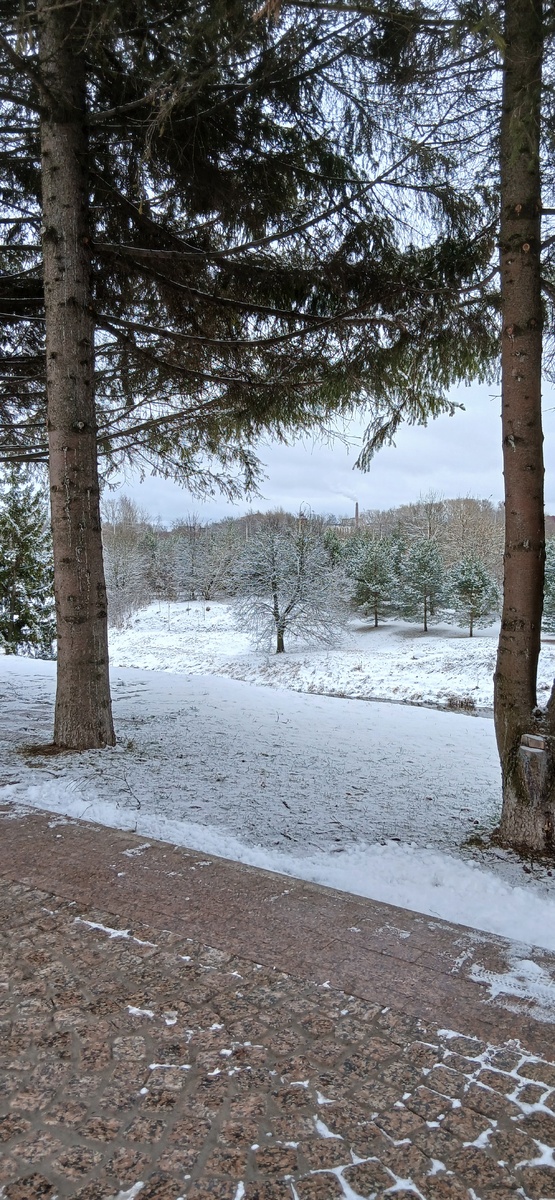 На берегу реки Черемухи