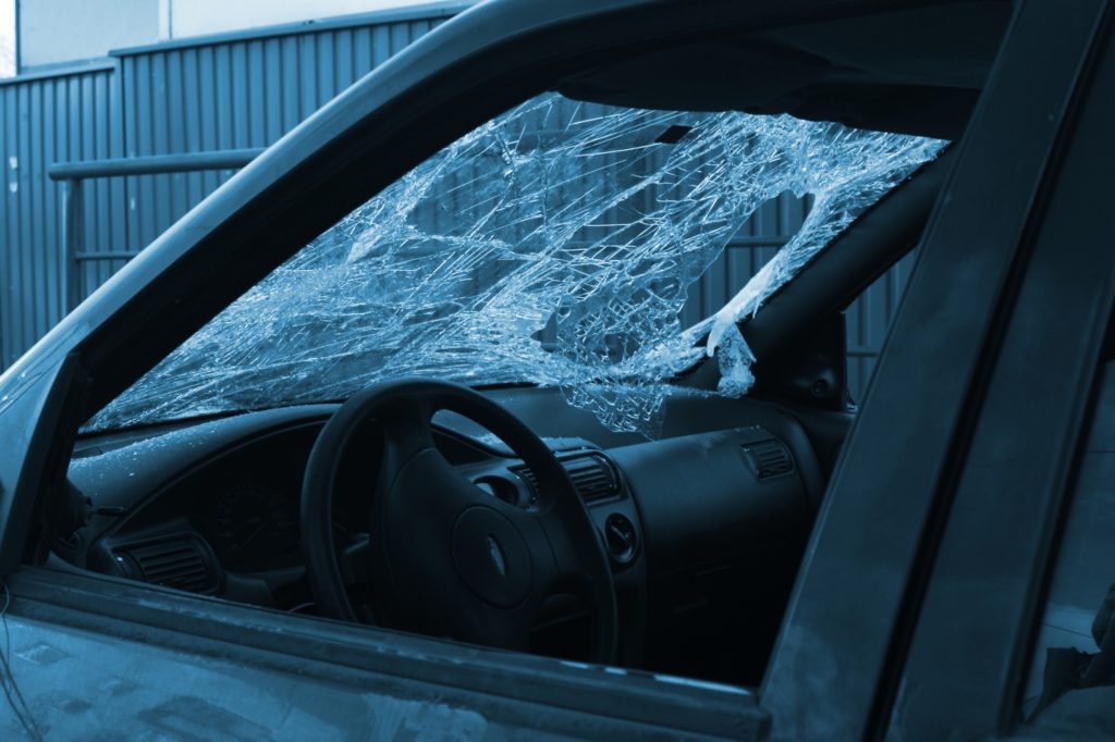    Фото: МВД по Республике Карелия / ВК