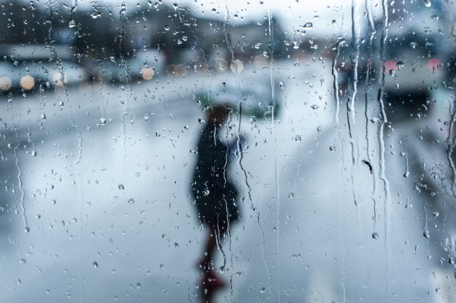   Фото из архива Калининград.Ru