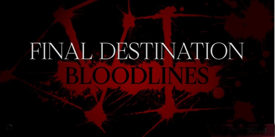 мы ждали целых 14 лет