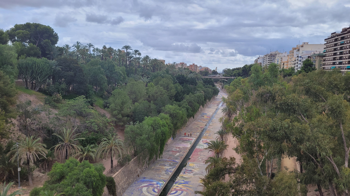 Пальмовый лес. Фото автора.