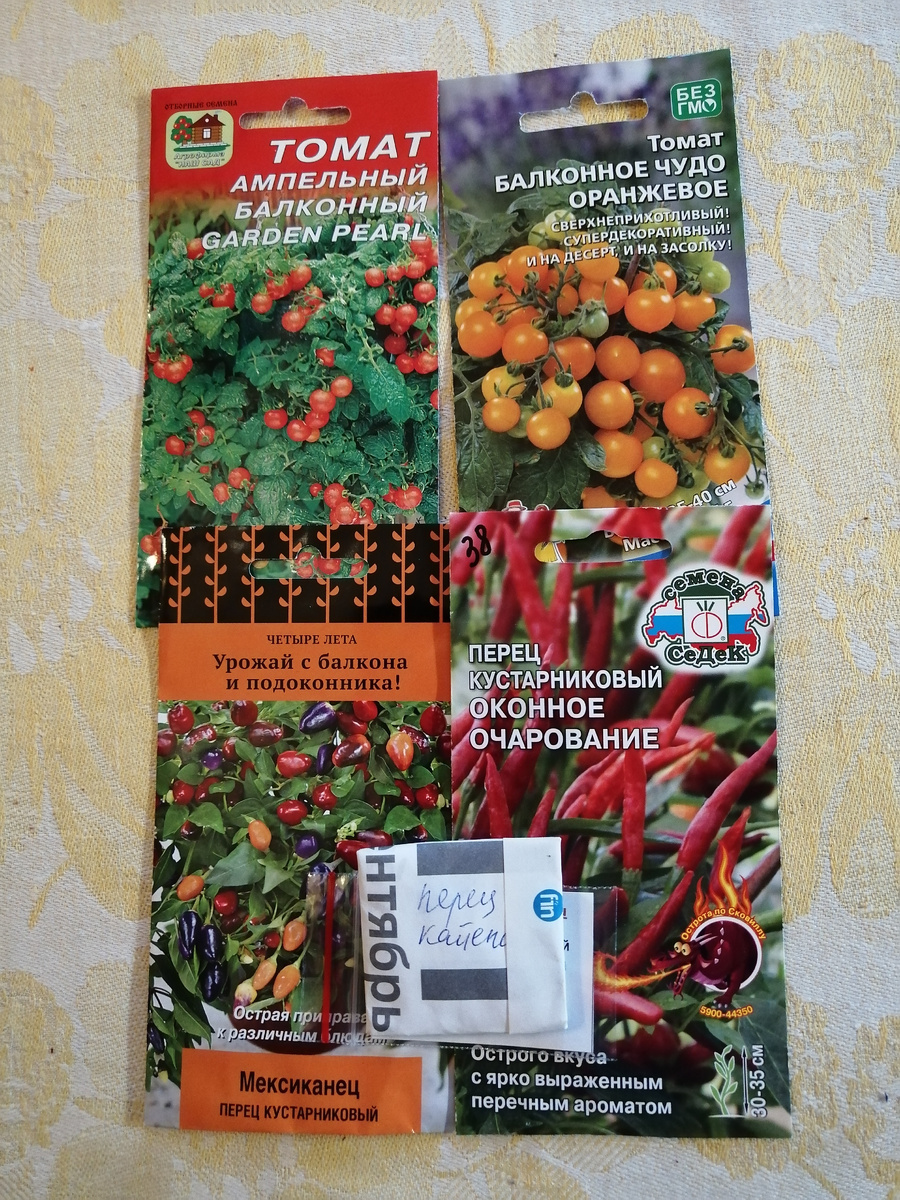 Балконные томаты никогда не выращивала ранее