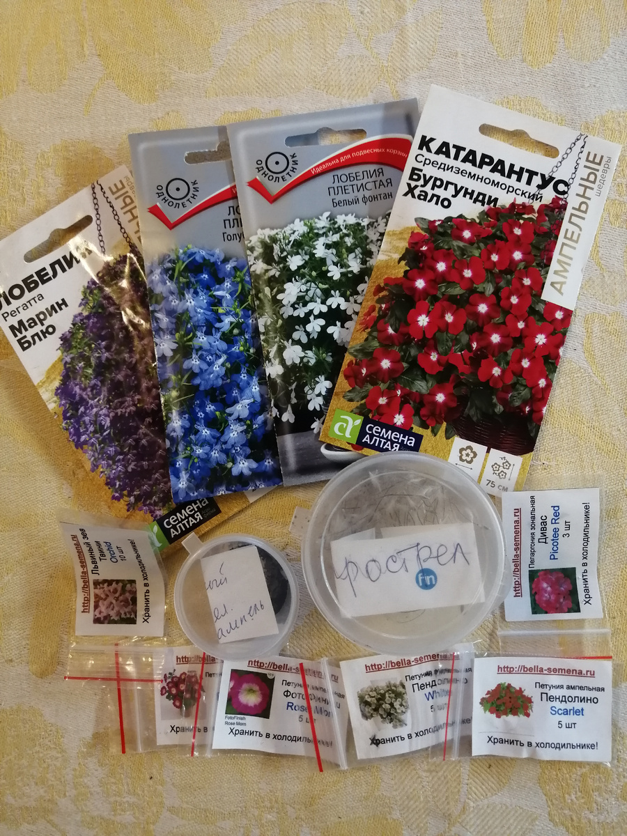 Семена нынче дОроги! 