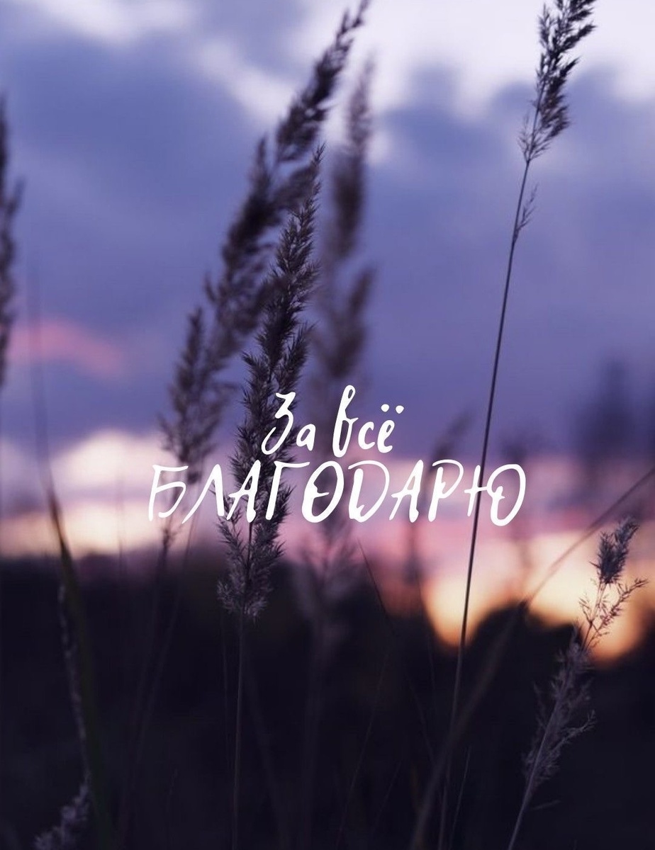 понимай это