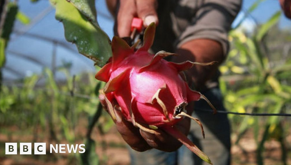 Про переназвание фрукта был сюжет на ББС