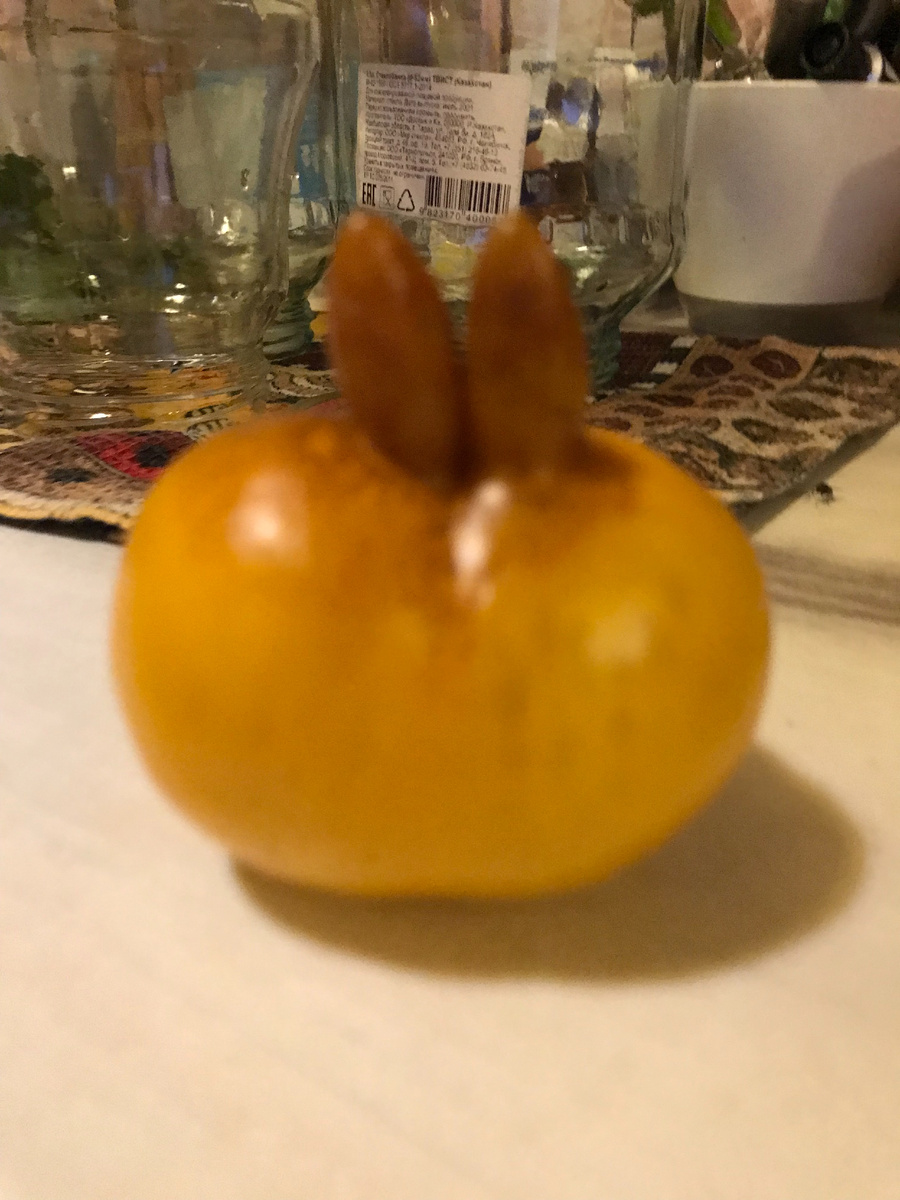 Что выросло, то выросло