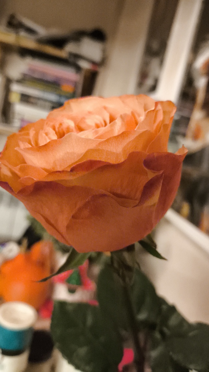 Мы молодцы!!!