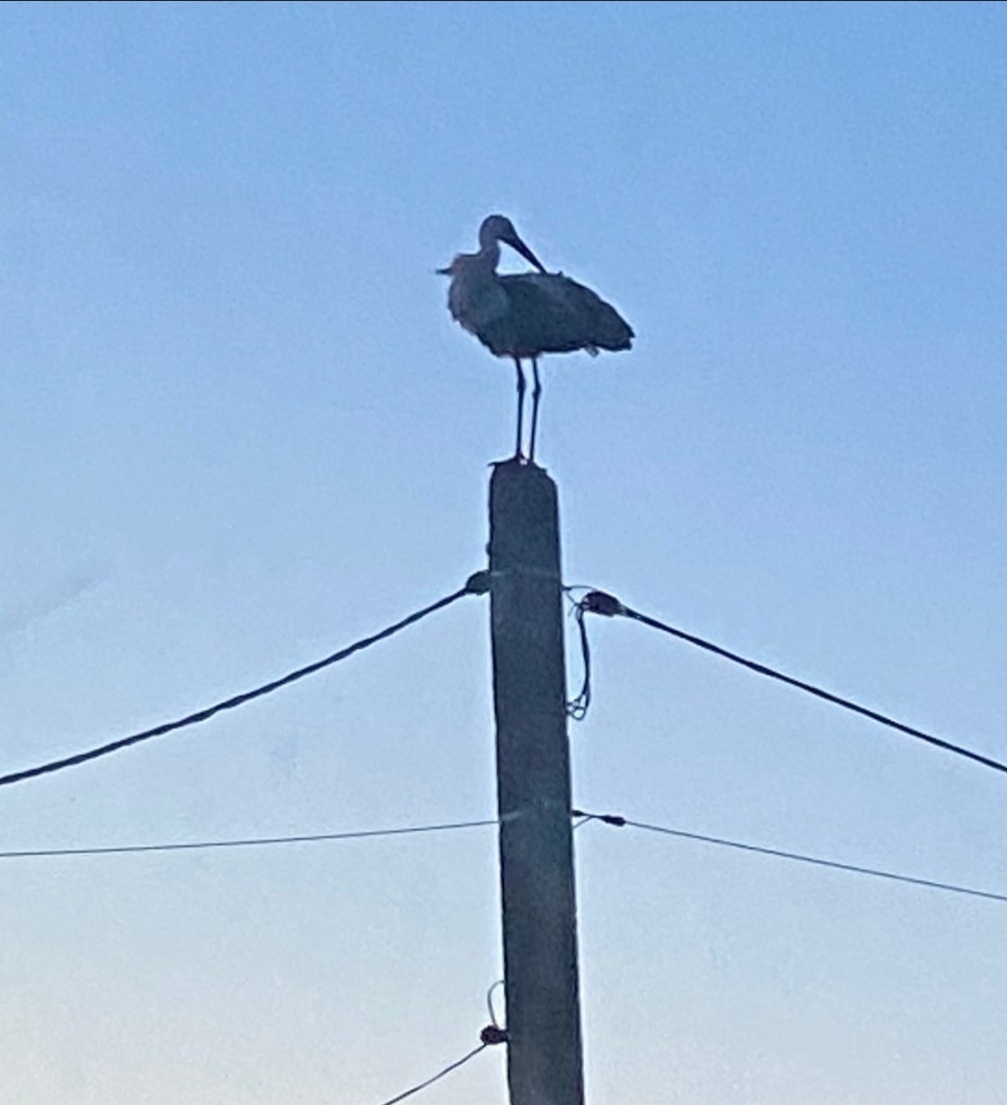Фото сделано за несколько дней до вторжения в Судже (из окна нашей квартиры) 