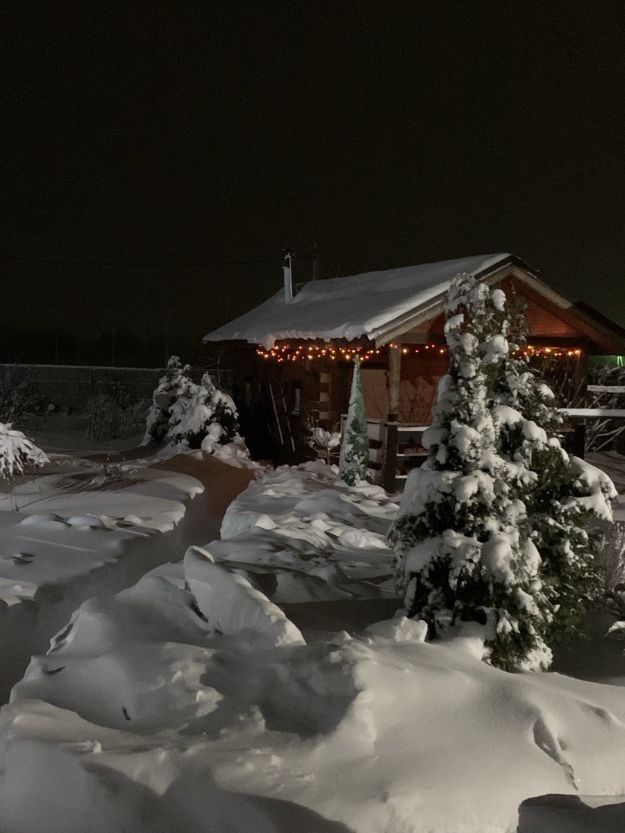 Зимняя сказка в нашем саду