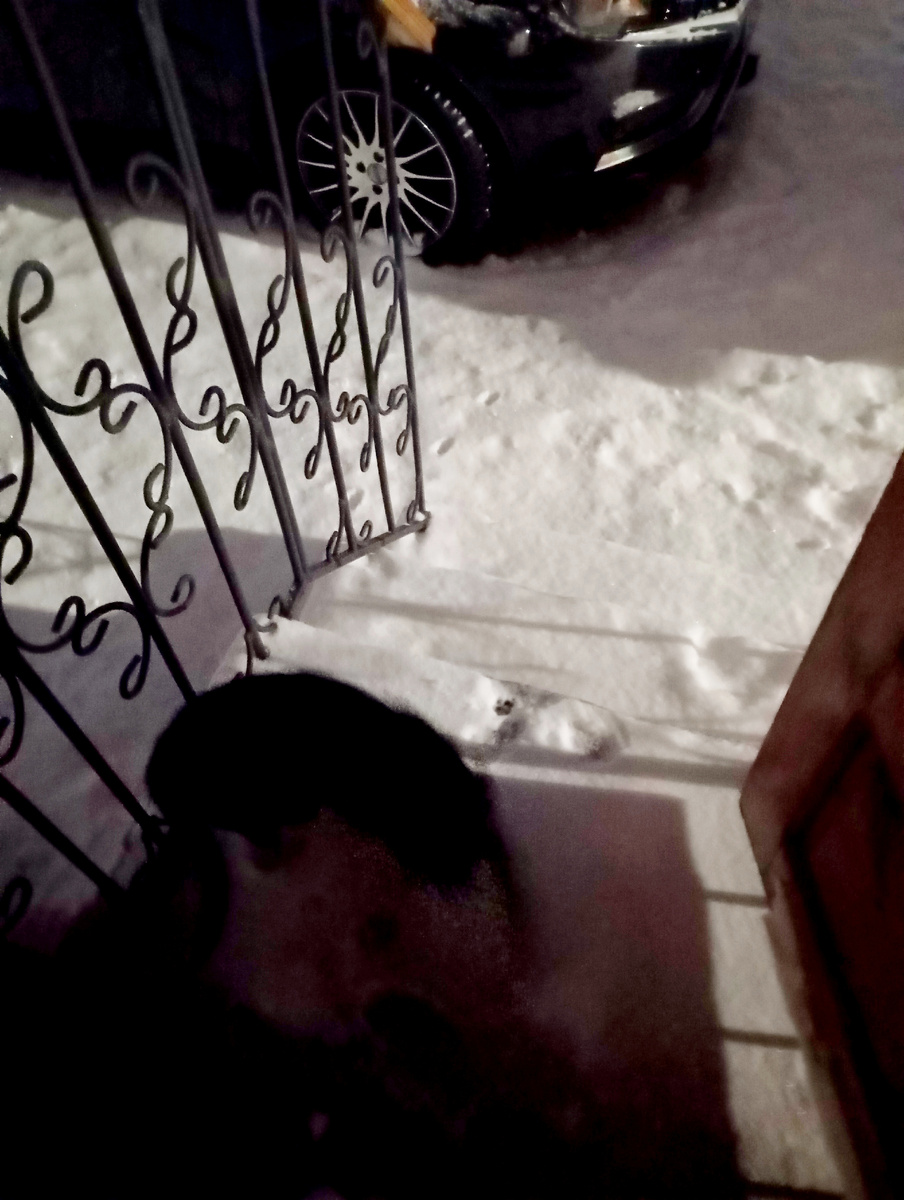 Вот вышел и снова зашёл 