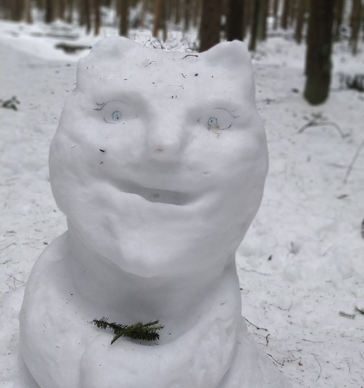 Снег где-то в Ленобласти