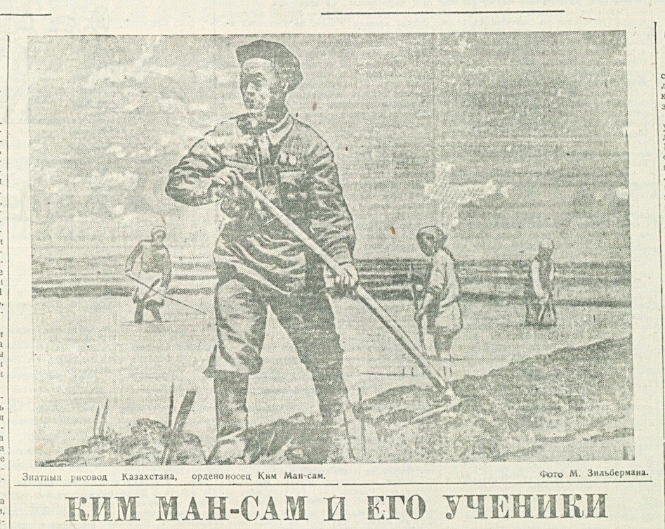 На фото: знатный рисовод Казахстана, орденоносец Ким Ман-сам. Фото М.Зильбермана