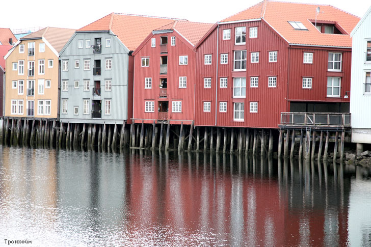 Фото ЯндексКартинки. Венеция стоит на сваях из лиственницы. 