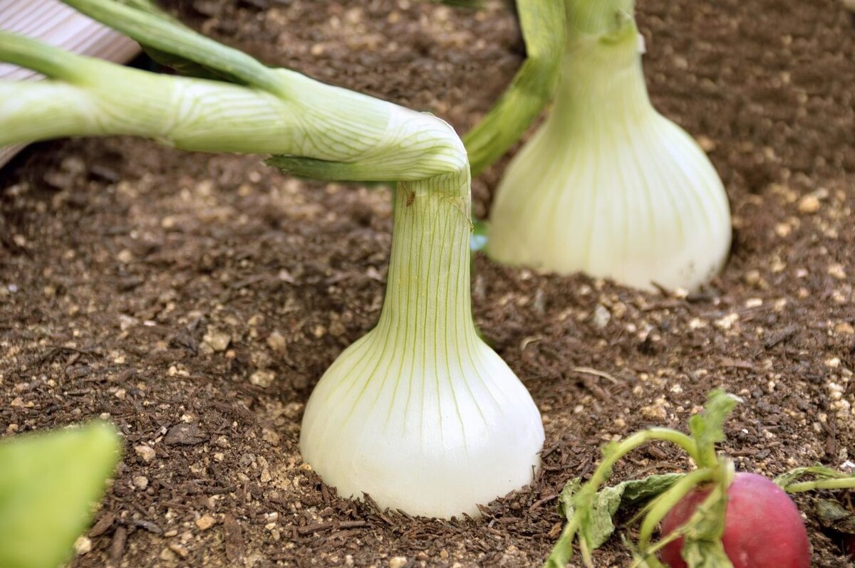 Фото из архива