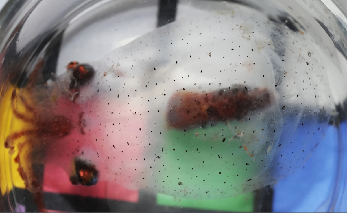 *как на самом деле выглядит их "невидимость"