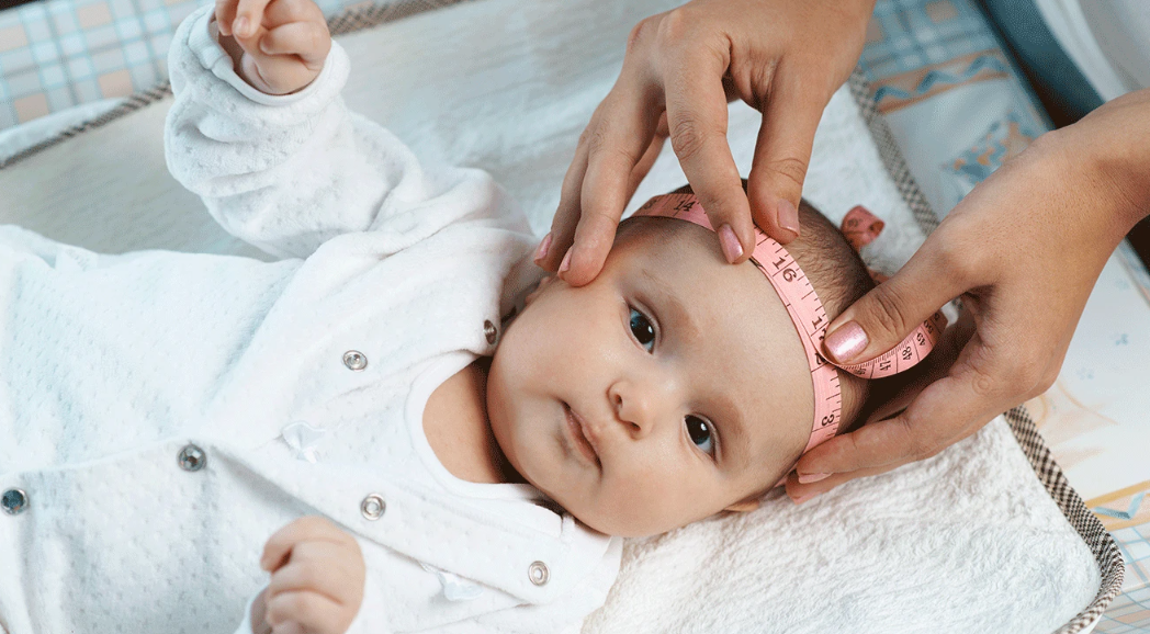 Image: Dmytro Vietrov | Shutterstock