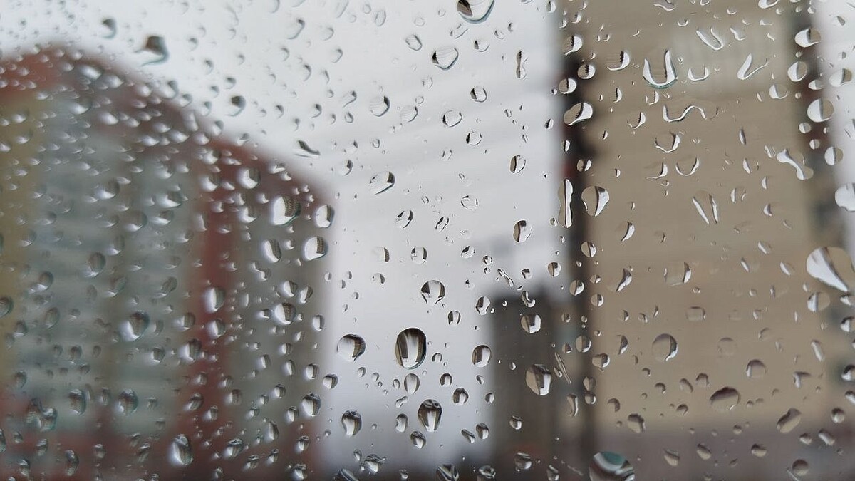    Фото: телеканал «Краснодар»