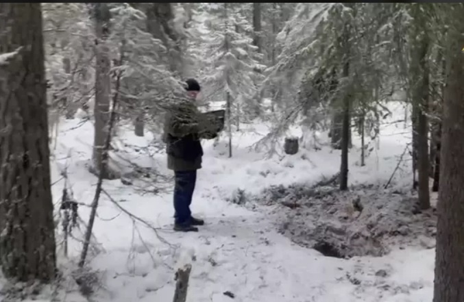 (Фото из общего доступа в интернете)