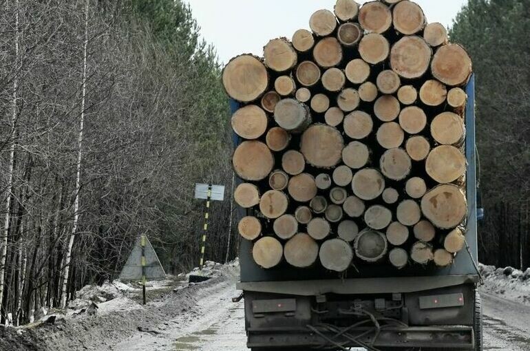   Илья Наймушин / РИА Новости