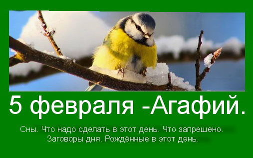 Источник :  Яндекс картинки.