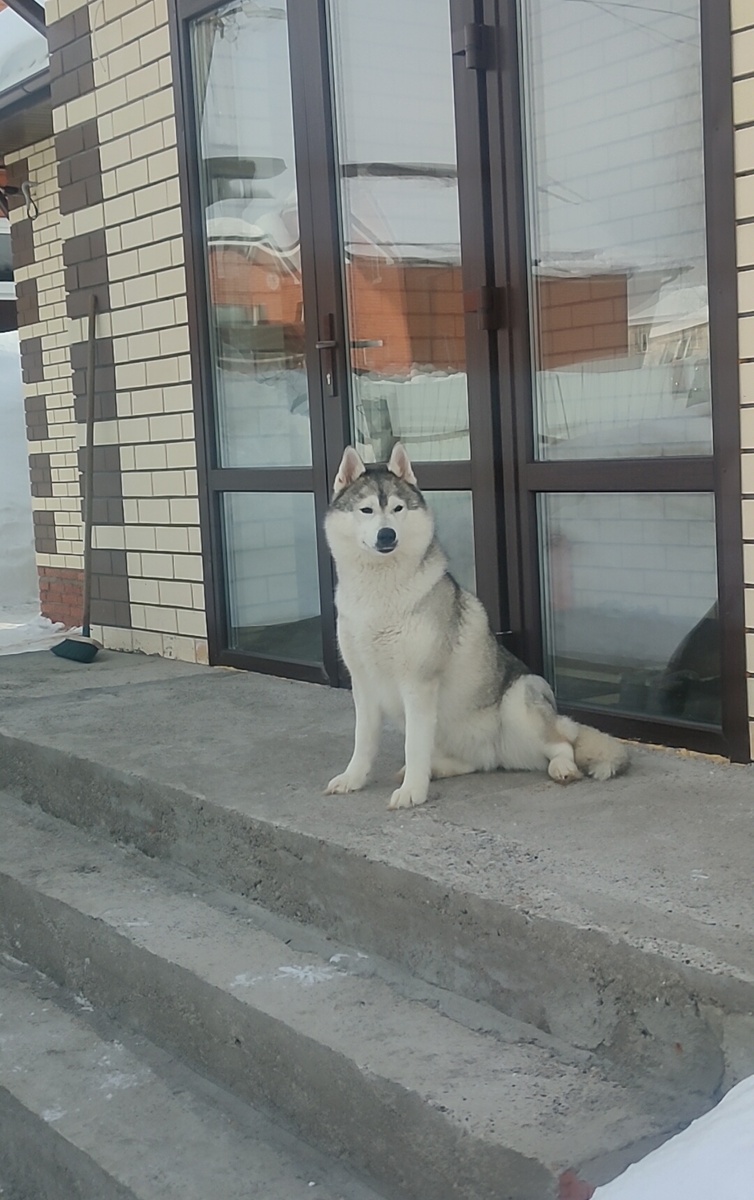 Юнико год назад.