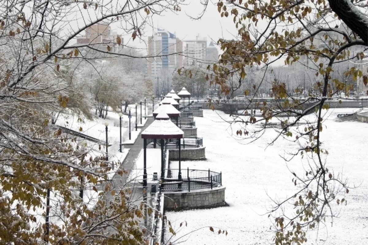    Прогноз погоды в Хабаровске на 4 февраля: зима не сдается и посылает циклон