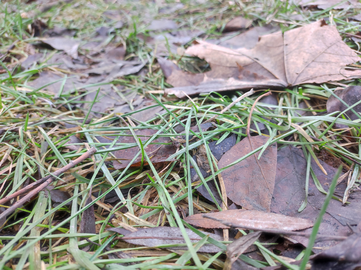 Фото автора, январь 2025 года