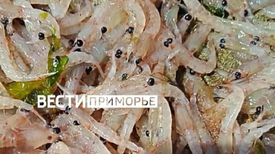    Источник фото: