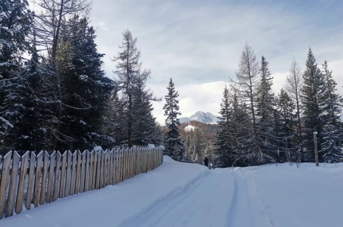    Небольшие снегопады пройдут в Алтайском крае 4 февраля