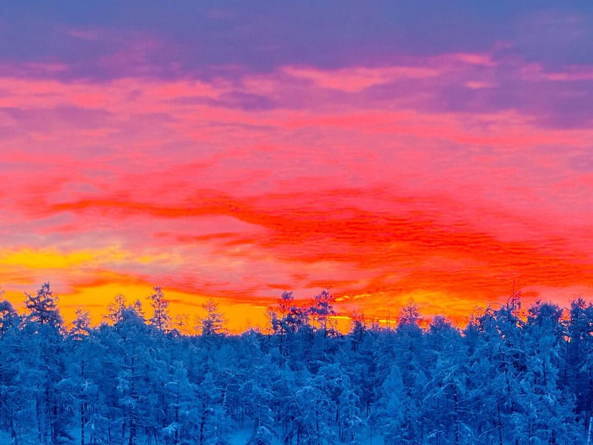 Фото: газета «Амма олоҕо» Ulus.Media  📷
