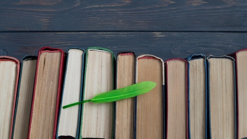 Фото: @golga101 / freepik.com