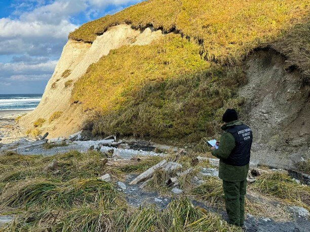 Следователь на Белых скалах собирает улики, оставленные медведем / Фото: Следственный Комитет России по Сахалинской области